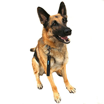 Max and Neo Short Traffic Leash 10" - We Donate One for One a Dog Rescue for Every Leash Sold (Purple) - color: PURPLE