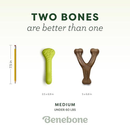 Benebone Bacon Wishbone/Rubber Bone Medium, 2-Pack - size: 2 Pack, style: Bone/Wishbone