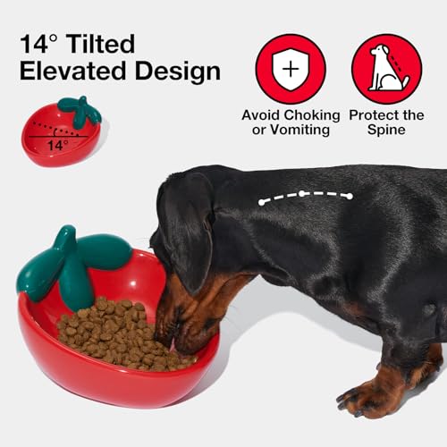 VETRESKA Ceramic Pet Bowl Tilted Design Pet Feeder for Food and Water Anti Vomit Cat Bowls for Indoor Cats Cute Strawberry Cat Bowl Dishwasher Safe - color: Strawberry Bowl