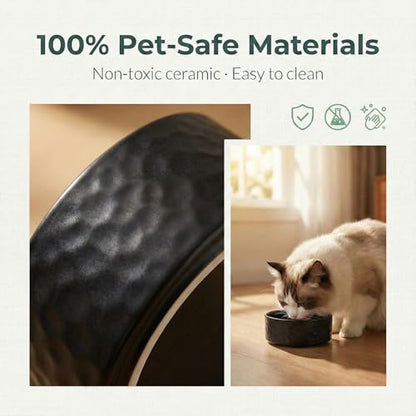 Ceramic Dog and Cat Bowl 2-Pack Non-Slip Weighted Food Water Set for Cats &Small Dogs 13.5OZ Black - color: Black – 2 Pack