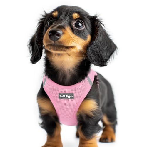rabbitgoo Small Dog Harness, Step-in Soft Mesh Puppy Vest with Safety Buckle, Breathable Reflective Pet Harness for Extra Small Dogs, Light Pink XXS - color: Light Pink, size: Xxs(chest:12.4"-14.2")