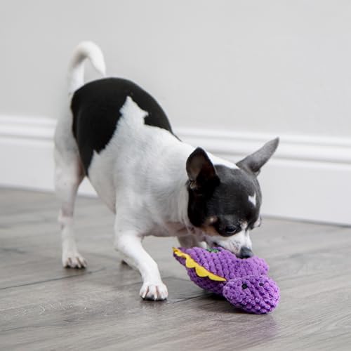 goDog Checkers Just for Me Dinos Bruto Squeaky Plush Dog Toy, Chew Guard Technology - Purple, Mini - color: Checkers - Dinos Bruto (Purple), size: Mini