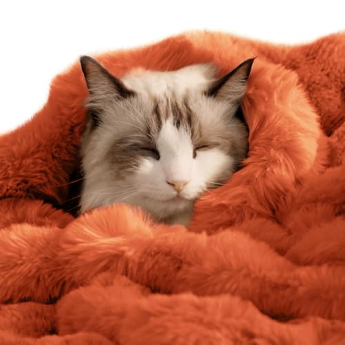 Pet Blanket, Reversible Sherpa & Bubble Fleece Pet Throw, Ultra-Soft Plush for Cats & Small Dogs, Machine Washable, Anti-Static, Warm & Cozy,28"×22" Inch Orange - color: Orange, size: 28"L x 22"W Inches