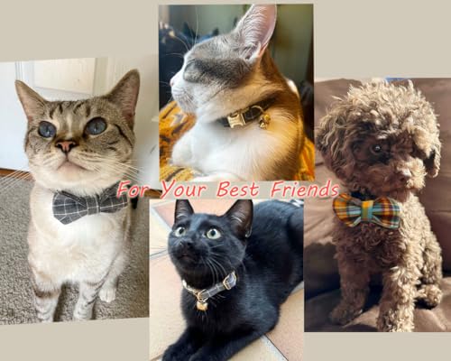 Personalized Cat Collar with Engraved Name and Phone Number - Customizable Kitten Collars for Boys and Girls (Plaid) - color: Plaid