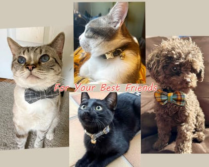 Personalized Cat Collar with Engraved Name and Phone Number - Customizable Kitten Collars for Boys and Girls (Plaid) - color: Plaid