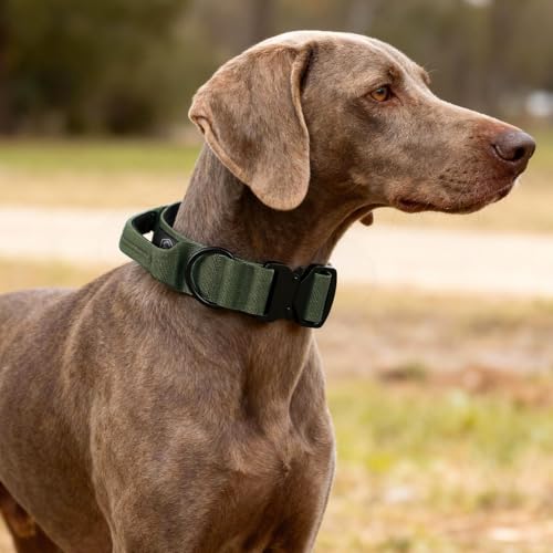 Tactical Thick Dog Collar, Adjustable Training Nylon Dog Collar, Heavy Duty Metal Buckle & Control Handle for Small Medium Large Dogs (M, Green) - color: Green, size: M
