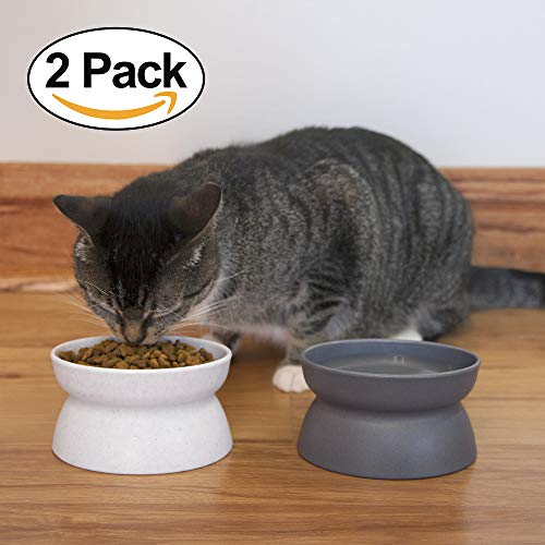 Kitty City Elevated Cat Bowls (Set of 2), Whisker-Friendly Raised Cat Food & Water Dishes, Modern Pedestal Design, Dishwasher Safe, 6.5 oz Each – White & Gray - size: Small