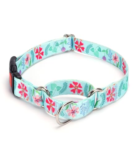 Personalized Custom Customized Martingale Dog Collars with Engraved ID Name Plate Phone Number for Puppy X-Small Small Medium Large X-Large Boy Girl Dogs