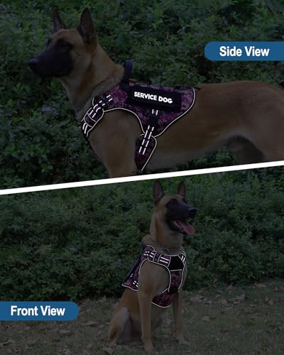 Tactical Dog Harness - No-Pull Service Vest for Large Breeds, with Hook & Loop Patch Panel & MOLLE System M (30-50 lbs, Chest: 25–29") Reflective Purple Camo - color: Reflective Purple Camo, size: M (30-50 lbs, Chest: 25–29")