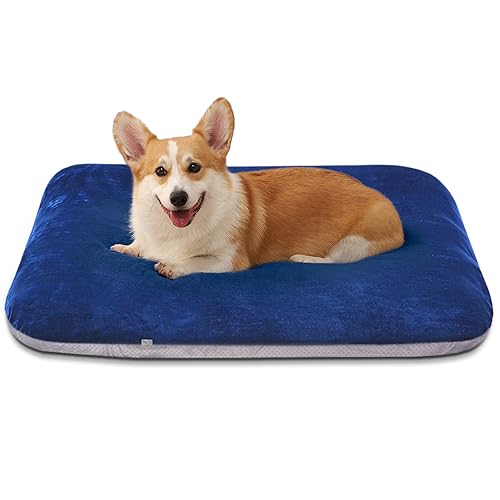 Super Soft Medium Dog Bed, 32 Inches Orthopedic Foam Pet Beds with Anti Slip Bottom, Dog Sleeping Mattress with Removable and Washable Cover, Blue M,32'' X 24'' X 3'' - color: Blue, size: 32.0"L x 24.0"W x 3.0"Th