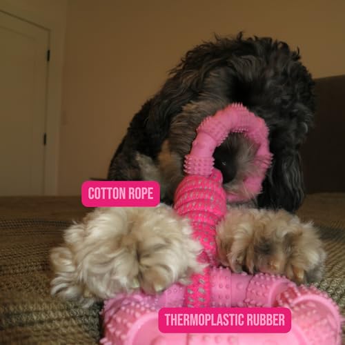 Doug's Dog Supplies Ring Rope Toy – Tug of War Toy for Medium & Large Dogs | Tug & Play Dog Toy - color: Pink