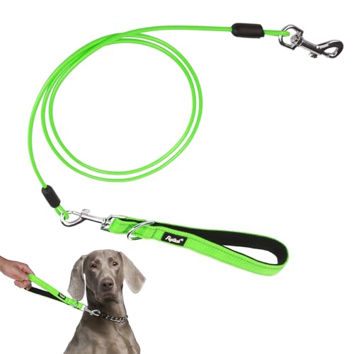 PUPTECK Chew Proof Dog Leash with Detachable Short Leashes Padded Handle Reflective, Heavy Duty Steel Cable Lead for Small Medium Large Dogs Training Walking, Green 4.9ft - color: Green