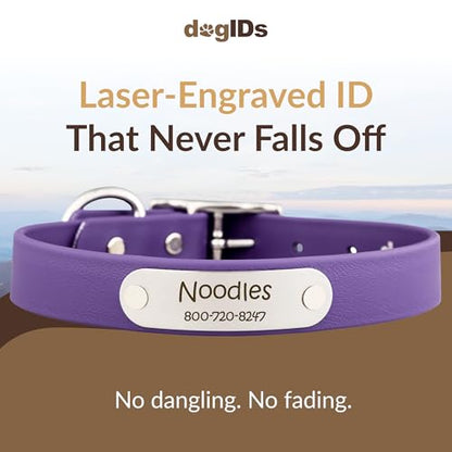 dogIDs Personalized Dog Collar – Custom Waterproof Soft-Grip Biothane with Laser-Engraved Nameplate, Durable & Odor-Resistant, USA Made | Purple, 1 in x 16 in (Fits Necks Size 14-18 in) - color: Purple, size: 1 in x 16 in (Fits Necks Size 14-18 in)