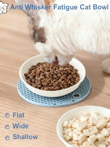 Ceramic Cat Bowl Whisker Friendly – Wide Shallow Cat Food Dish with Non-Slip Base, Dishwasher Safe Feeding Bowl for Indoor Cats - size: 1 PC aixin