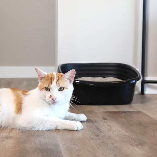Arm & Hammer Simply Recycled Plastic Cat Litter Pan, Made in USA, Easy to Clean, Large Durable Litter Box, Black - style: Recycled