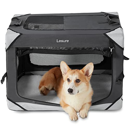 Lesure Collapsible Dog Crate - Portable Travel Kennel for Medium Dog, 4-Door Pet Crate with Mesh Windows, Indoor & Outdoor, Charcoal Gray - color: Charcoal Grey, size: 30.0"L x 21.0"W x 21.0"H