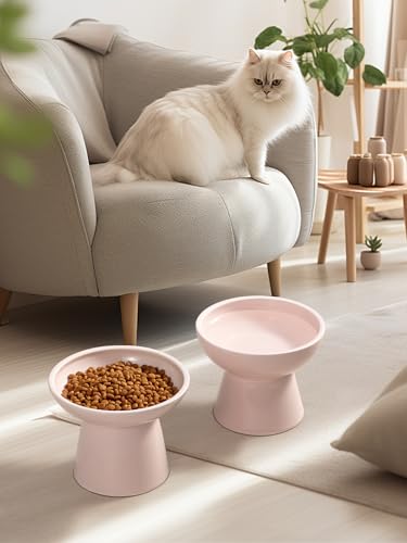 LoeJan Elevated Cat Food and Water Bowls Set, Extra Wide and Raised Ceramic Feeder, Anti-Vomit Whisker-Free Pressure Feeding Bowl for Kittens Adult Cats Small Dogs(Pink, Food Bowl) - color: Pink, size: Single (Food Bowl)