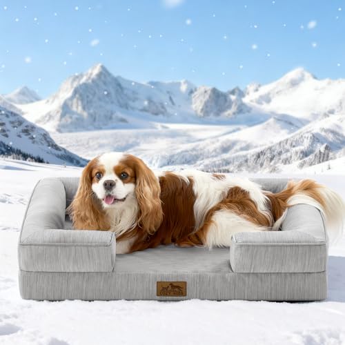 COZY KISS Cooling Dog Bed for Medium Small Size Dogs, Q-Max >0.4 Summer Cool Pet Bed, Orthopedic Foam Dog Sofa with Sides, Bolster Anti-Slip Couch with Washable Removable Cover, M 30x20x6 inch, Grey - color: Grey, size: 30x20x6 Inch