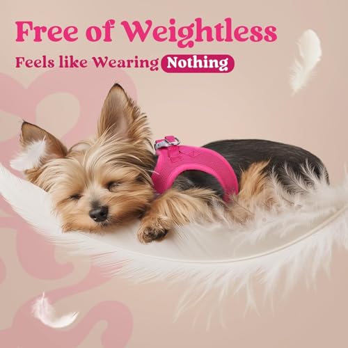 rabbitgoo Small Dog Harness, Step-in Soft Mesh Puppy Vest with Safety Buckle, Breathable Reflective Pet Harness for Small Sized Dogs, Rose Red XS - color: Rose Red, size: Xs(chest:13.3"-15.5")