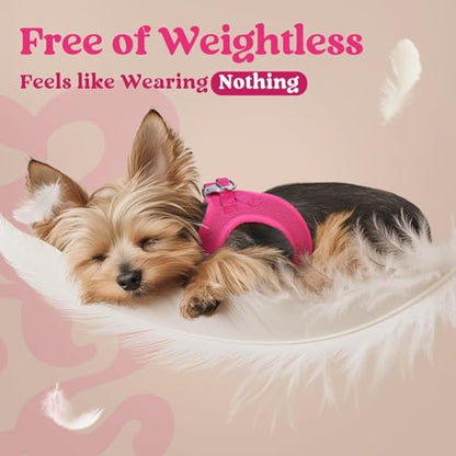 rabbitgoo Small Dog Harness, Step-in Soft Mesh Puppy Vest with Safety Buckle, Breathable Reflective Pet Harness for Small Sized Dogs, Rose Red XS - color: Rose Red, size: Xs(chest:13.3"-15.5")