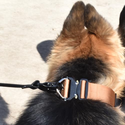 Heavy Duty Waterproof Dog Leash - Large Scissor Frog Quick Release Clasp, PVC Rubber Coated Nylon Training Lead for Large and X-Large Dogs, Odor Free, Durable, Easy to Clean, Nonslip Grip, Secure Hold - size: 6FTSM