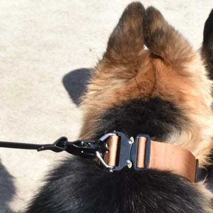 Heavy Duty Waterproof Dog Leash - Large Scissor Frog Quick Release Clasp, PVC Rubber Coated Nylon Training Lead for Large and X-Large Dogs, Odor Free, Durable, Easy to Clean, Nonslip Grip, Secure Hold - size: 10FTLG