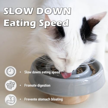 Ceramic Cat Slow Feeder, Raised Slow Feeder Cat Bowl, Anti Vomiting and Whisker Friendly Kitty Dish, Elevated Puppy Kitten Bowl for Dry and Wet Food (Gray) - color: Gray