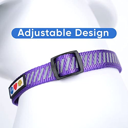 Pawtitas Reflective Dog Collar - Personalized Name & Phone Number, Adjustable for Small Dogs & Puppies - Purple - color: Customized Purple, size: X-Small (Pack of 1)