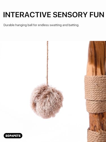 Sopapets Solid Wood Cat Tree for Large Cats, 41.3" Modern Cat Tower with Heavy Duty Real Branch & Hand-Woven Basket, Sisal Scratching Posts & Cozy Bed, Luxury Furniture for Indoor & Maine Coon, Beige - color: Beige
