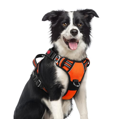 rabbitgoo Dog Harness Medium Sized, No Pull Dog Vest with 3 Buckles, Adjustable Soft Padded Pet Harness with Easy Control Handle and Reflective Strips, Orange, M - color: Orange, size: Medium
