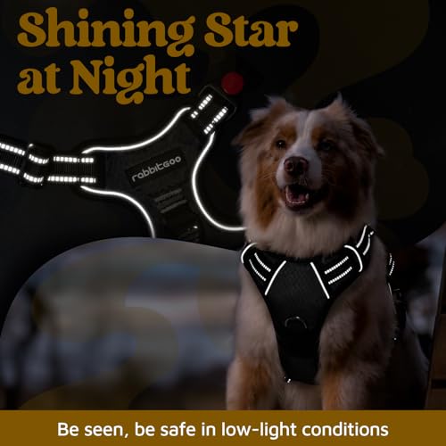 rabbitgoo Dog Harness Small Sized, No Pull Dog Vest with 3 Buckles, Adjustable Soft Padded Pet Harness with Easy Control Handle and Reflective Strips, Black, S - color: Black, size: Small