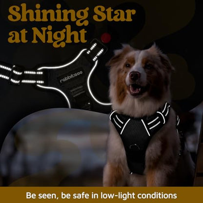 rabbitgoo Dog Harness Small Sized, No Pull Dog Vest with 3 Buckles, Adjustable Soft Padded Pet Harness with Easy Control Handle and Reflective Strips, Black, S - color: Black, size: Small