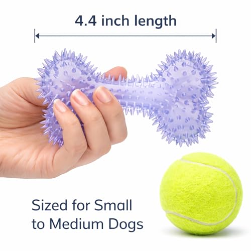 Squeaky Spiky Dog Bone Toy for Teeth Cleaning & Gum Massage 4.4 Inch Small Medium Dogs Purple | Spiny TPR Rubber Chew Toy for Fetch Play Interactive Bouncy Dental Bone Durable BPA Free Nontoxic Floats - size: Purple, Bone 1-Pack