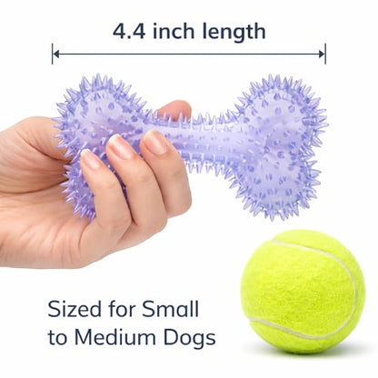 Squeaky Spiky Dog Bone Toy for Teeth Cleaning & Gum Massage 4.4 Inch Small Medium Dogs Purple | Spiny TPR Rubber Chew Toy for Fetch Play Interactive Bouncy Dental Bone Durable BPA Free Nontoxic Floats - size: Purple, Bone 1-Pack