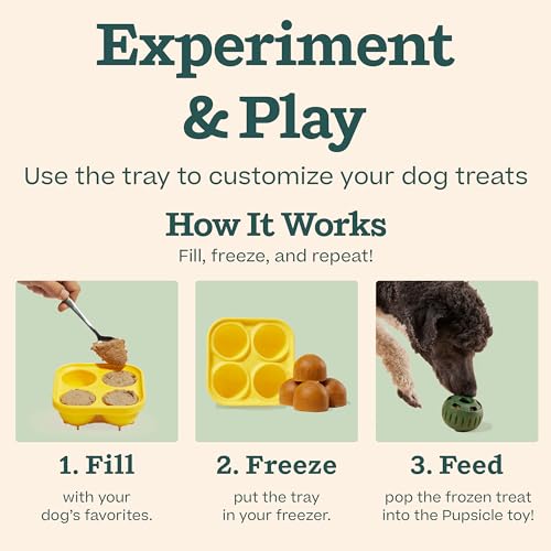 WOOF Starter Pack - Interactive Dog Ball Toy for Boredom - Dog Treat Molds Silicone - Chicken-Flavored Healthy Treats for Dogs - Pupsicle Doggy Enrichment Toy - for XL Pups - 75+ lbs