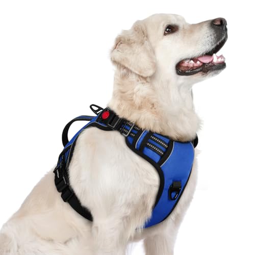 rabbitgoo Dog Harness for Large Dogs, No Pull Pet Harness with Soft Padded Handle, Adjustable Reflective Vest with 3 Buckles, Easy Walking Harness with 2 Leash Clips, Blue, L - color: Blue, size: Large