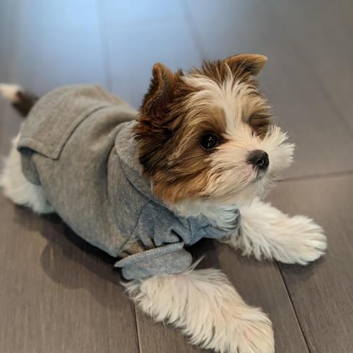 Jecikelon Winter Dog Hoodie Sweatshirts with Pockets Warm Dog Clothes for Small Dogs Chihuahua Coat Clothing Puppy Cat Custume (Grey, XX-Small) - color: Grey, size: XX-Small