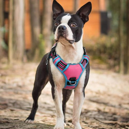 rabbitgoo Dog Harness Small Sized, No Pull Dog Vest with 3 Buckles, Adjustable Soft Padded Pet Harness with Easy Control Handle and Reflective Strips, Rose Pink & Blue, S - color: Rose Pink & Blue, size: Small