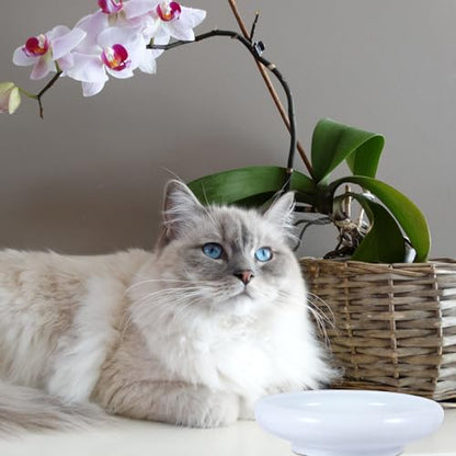 PRETYZOOM Ceramic Cat Water Bowl Pet Feeding Bowl with Anti-Spill Design White Closed Rim Pet Feeder for Indoor Cats for Food and Water