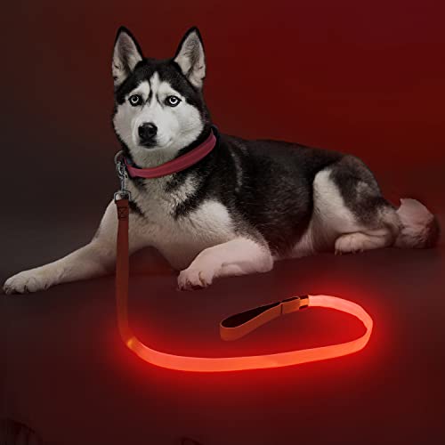 Colaseeme Light Up Dog Leash, LED Pet Leashes USB Rechargeable, Glow Safety Dogs Lights at Night (4FT,Red) - color: Red, size: 4FT