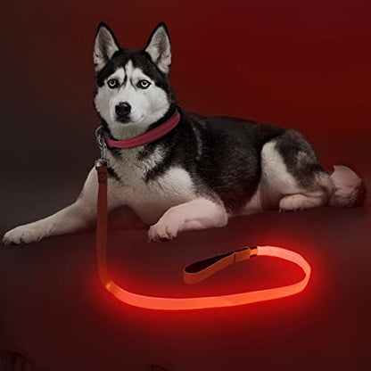 Colaseeme Light Up Dog Leash, LED Pet Leashes USB Rechargeable, Glow Safety Dogs Lights at Night (4FT,Red) - color: Red, size: 4FT