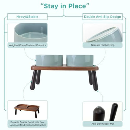 SPUNKYJUNKY Ceramic Elevated Dog Bowls Raised with Acacia Bamboo Wooden Stand, 6.1'' Dog Cat Food Water Bowls Set Non-Slip for Small Medium Sized Breed Microwave Dishwasher Safe - 28.7 OZ,Light Green - color: Light Green, size: 6.1 in - Dual