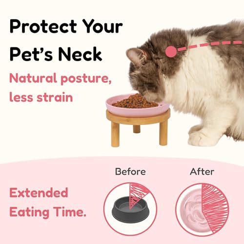 Slow Feeder Bowl, 6.3″ Elevated Cat Bowl with Stand, Melamine Wide Shallow Food Bowl, Whisker-Friendly Raised Plate, Wet Food Feeder for Slow Eating (Pink) - color: Pink, size: 1 Pack with Stand - 6.3''W x 1.5''H