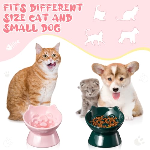 Funnymoom 2 Pcs Ceramic Raised Slow Feeder Cat Bowl, 5.91inch Elevated Cat Slow Feeder Bowl Tilted Anti Vomiting for Dry Wet Food and Water Easy to Clean High Edge(Dark Green, Pink) - color: Dark Green, Pink