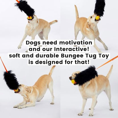 Dog Rope Toy,Dog Bungee Chaser Toy 100% Sheepskin,Sheep Smell Tug Toy for All Breeds (Black, Long Without Ball) - color: Black, size: Long Without Ball