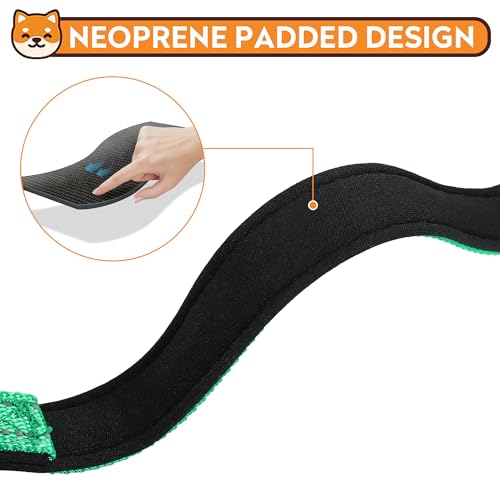 Reflective Dog Collar, Adjustable Soft Neoprene Padded Nylon Pet Collars with Buckle for Small Dogs, Grass Green,S - color: Grass Green, size: Small