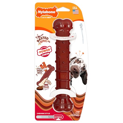 Nylabone Textured Bone Power Chew Toy for Dogs, Durable & Tough Dog Toys for Aggressive Chewers, Basted Blast Bacon and Steak Flavor, Large Dogs - Up to 50 lbs, 1 Count - size: Large
