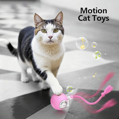 FUNNYDUCK Speed 2.0 Tail Interactive Cat Toy – Motion-Activated Rolling Ball with Chirping Sounds, USB Rechargeable Smart Ball Toy for Indoor Cats & Kittens, Enrichment & Exercise - color: Pink