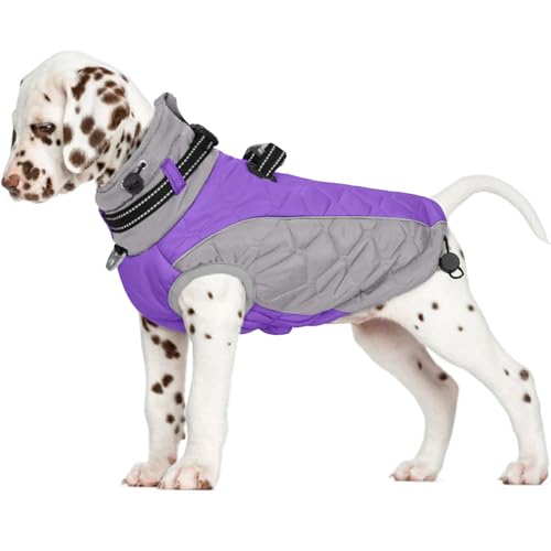 Zippered Small Dog Winter Coat, Turtleneck Reflective Fleece Jacket, Water Resistant Warm Dog Clothes with Buckles & D Ring for Leash and Name Card - XS Purple - color: Purple, size: X-Small