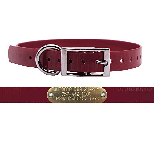 3/4" Waterproof D-Ring Dog Collar Adjustable Fit for Small & Medium Breeds | Custom 3/4" Brass Nameplate – Durable, Odor-Resistant, USA-Made (15", Burgundy) - color: Burgundy, size: 15" Long
